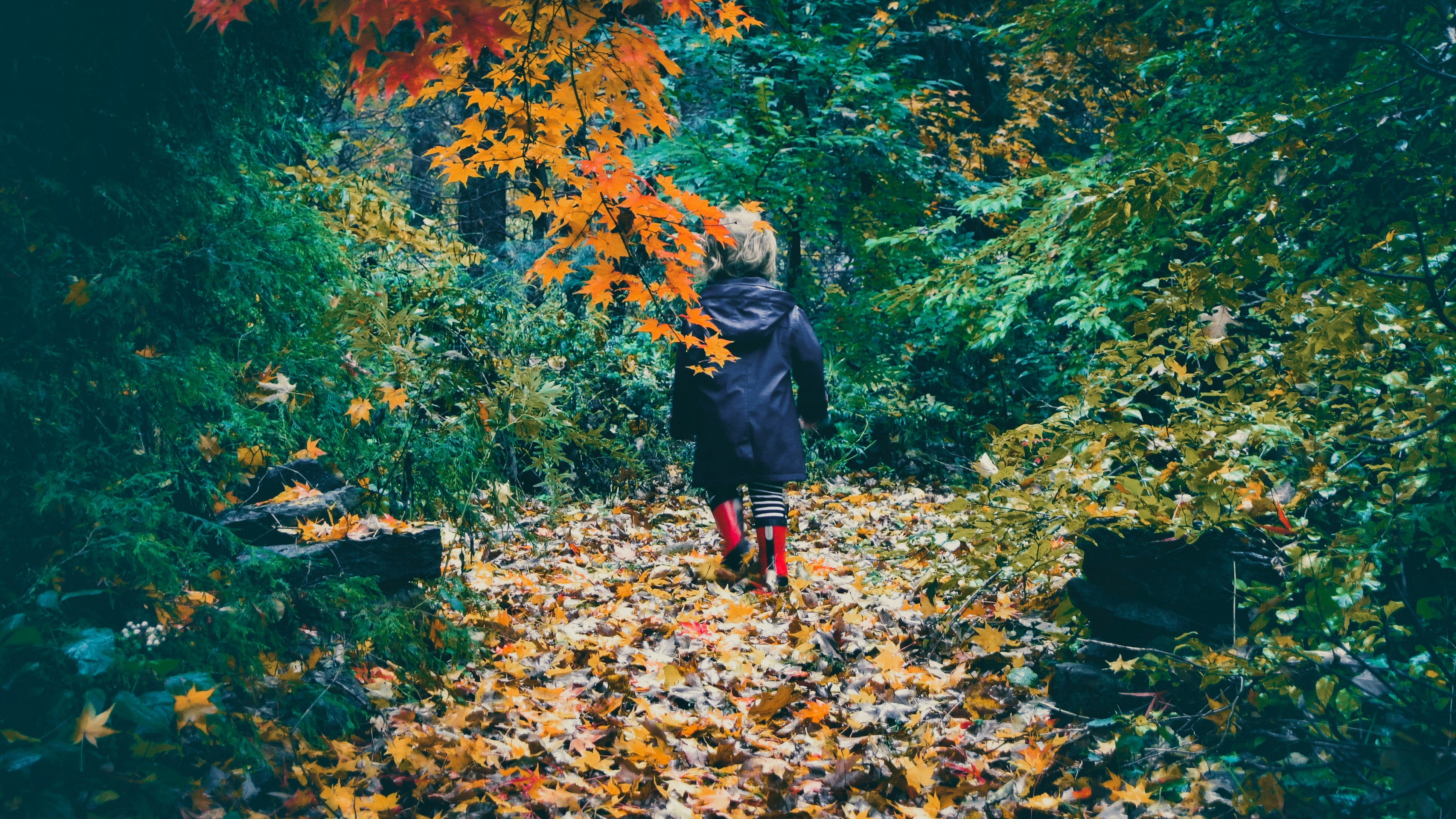 woman in black jacket and red pants walking on dried leaves on ground